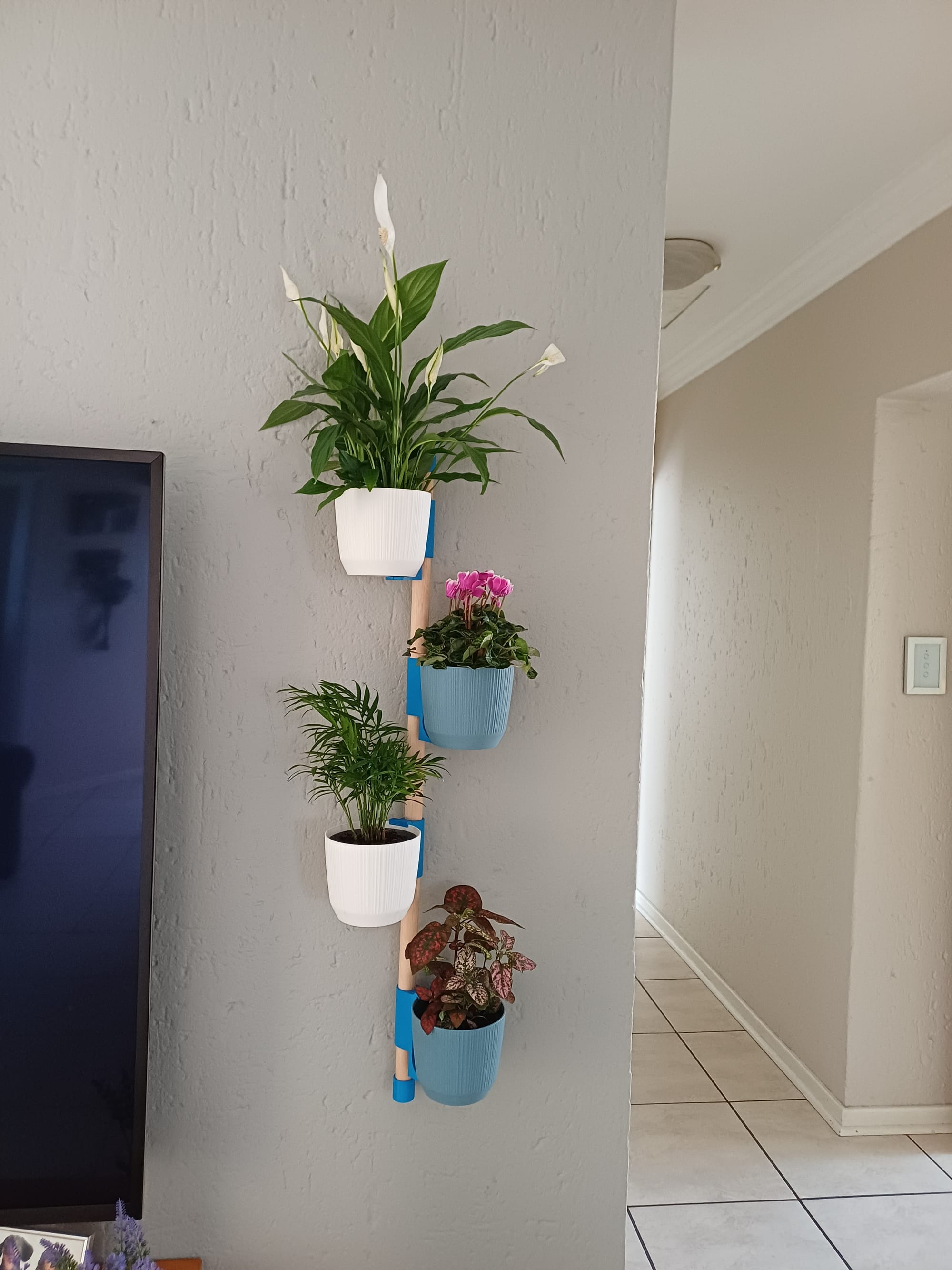 🌿 3D Pot Plant Design 🌿